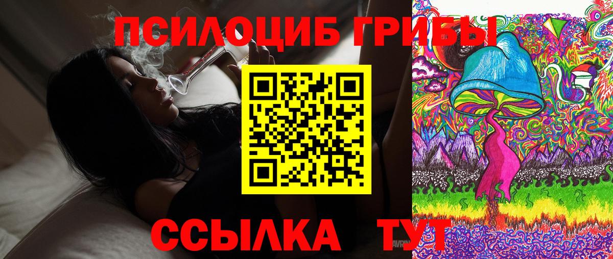 Псилоцибиновые грибы Psilocybe Зима