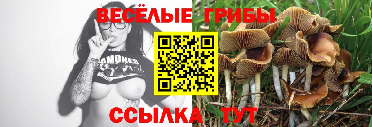 Зима  Галлюциногенные грибы мухоморы  Вход с VPN 