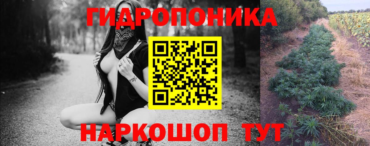 Зима  Бошки марихуана Ganja  Марихуана сатива  Бошки марихуана VHQ  Вход с VPN  Канабис тримм 
